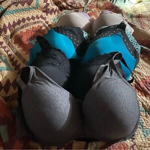 Torrid Turquoise and Gray Bra Set